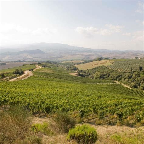 Grand Tokaj - Winery in Tokaj | Winetourism.com