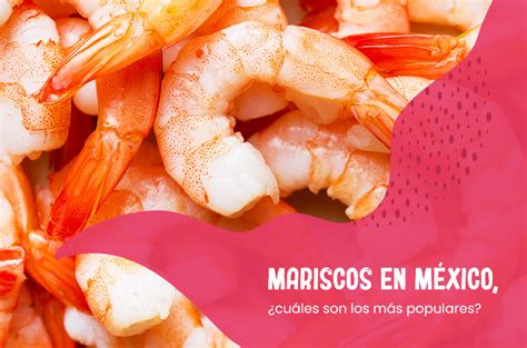 Mariscos En México ¿cuáles Son Los Más Populares