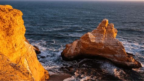 From Paracas Sunset In The Paracas National Reserve Getyourguide