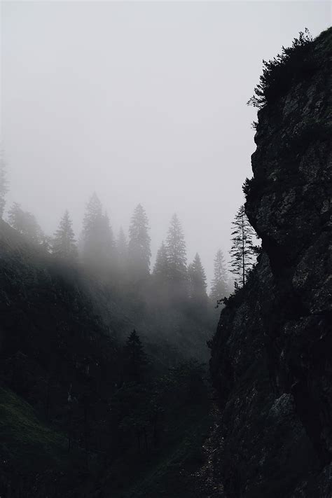 Mountain Fog Wallpapers Top Free Mountain Fog Backgrounds