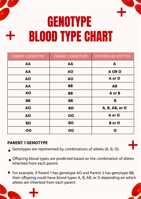 Free Genotype Blood Type Chart Template Edit Online And Download