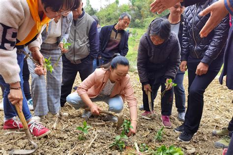 强化宗旨意识 永葆为民本色——贵州省组织系统扎实开展“我为群众办实事”实践活动县委组织部