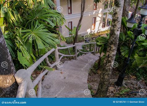 Escadaria Etapas De Pedra Imagem De Stock Imagem De Folha Cores