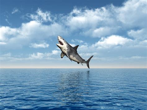 Great White Shark Jumping Wallpaper