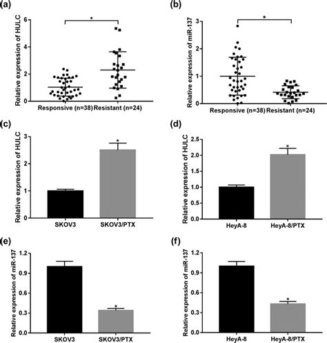 HULC Expression Was Enhanced While MiR 137 Expression Was Decreased In