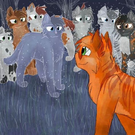 Featured Warrior Cats Deutsch Amino