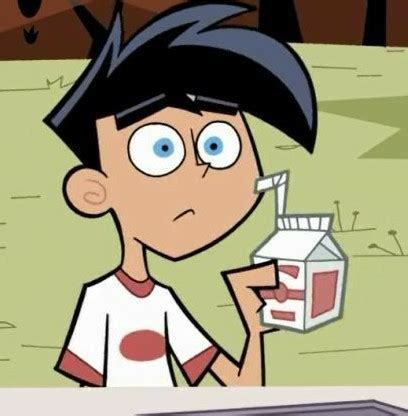 Aesthetic Danny Phantom Matching Pfp