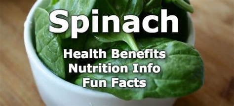 Top 5 Health Benefits Of Spinach Nutrition Info And Fun Facts