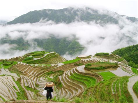 Longsheng Longji Rice Terraces,Longsheng Longji Rice Terraces Travel ...