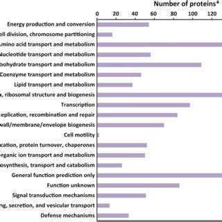 Pie Chart Depicting The Functional Classification Of All Proteins