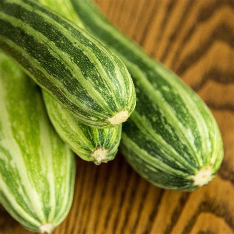 Semillas De Calabaza De Verano Cocozelle Zucchini Para Plantar M S De