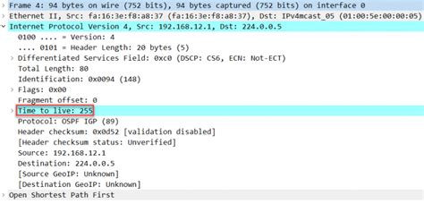 Ospf Ttl Security Check