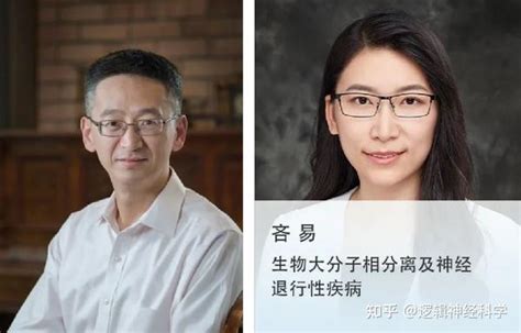 Nat Commun︱密歇根大学齐岭清华大学吝易团队合作揭示脂肪细胞内质网中错误折叠的蛋白处理新机制 知乎