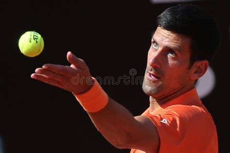 Nolan Djokovic Stock Photos Free And Royalty Free Stock Photos From