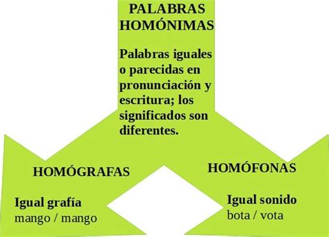 Hom Nimos Y Par Nimos Tipos De Palabras Seg N Su Significado