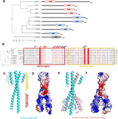 Figure From Structural Basis For Specific Dna Sequence Recognition By