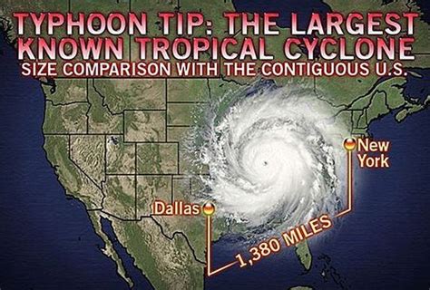 Typhoon Tip - Alchetron, The Free Social Encyclopedia