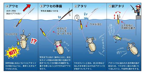 エギングで釣れないならアオリイカはウキ釣りで狙うべし！ ウキアオリイカ釣りの仕掛け＆攻略方法を大解説！ ルアマガ＋