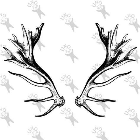 Deer Horns Drawing | Free download on ClipArtMag