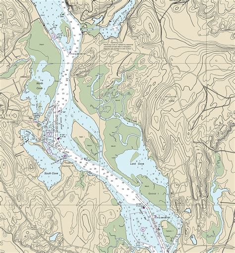 Home Décor Prints Selden Neck Hamburg Cove Wall Map Reproduction North