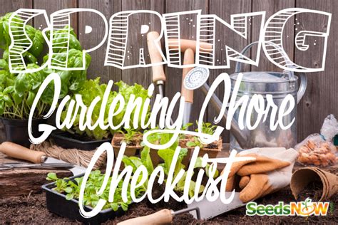 Spring Gardening Checklist 🌱 SeedsNOW.com