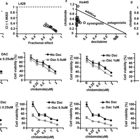 Effects Of Combined Treatment Of Chidamide And Decitabine On