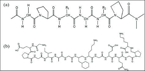 Chemical structure of (a) type I and (b) type II collagen. | Download ...