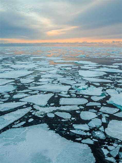 Verano Sin Hielo En El Rtico Infobae Stories