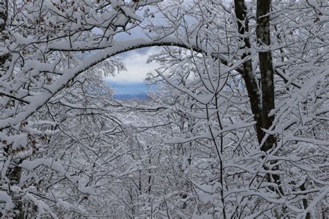 Foto Zima Pokazuje Zube Pogledajte Kadrove S U Ke