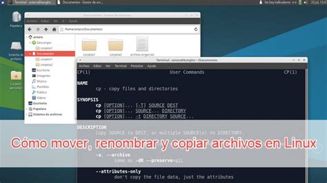 Linux Mv C Mo Mover Y Renombrar Archivos De Forma Segura