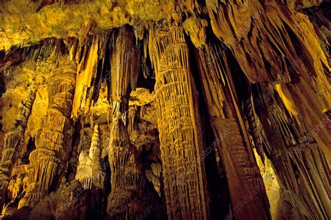 Luray Caverns - Stock Image - F031/3335 - Science Photo Library