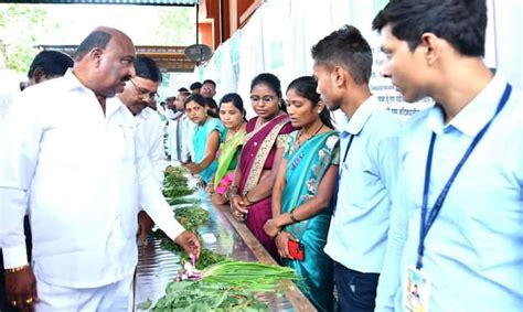 Ranbhaji Mahotsav Wild Vegetable Festival In Aurangabad See Photos