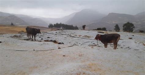 Sierra Registrar Lluvias Nieve Y Granizo Hasta El Domingo