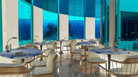 7 Underwater Restaurants in Maldives for a Dream Dining Under The Sea