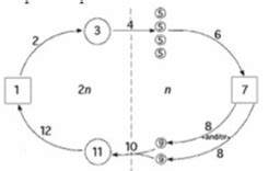 Solved A Generalized Life Cycle 6 For Land Plants Shown In The