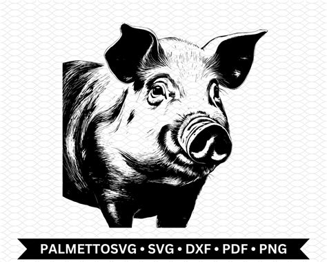 Schwein Svg Schwein Png Dxf Datei Schwein Geschnitten Datei Schwein