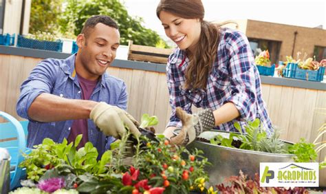 Agropinos Conozca Los Jardines De Plantas Medicinales En Casa