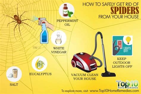 How To Safely Get Rid Of Spiders From Your House Top 10 Home Remedies