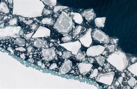 Comprender las respuestas del hielo marino al cambio climático