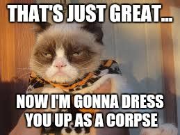 Grumpy Cat Halloween Meme Imgflip