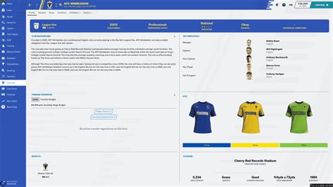 Football Manager Skins: how to choose, download and install the best ones