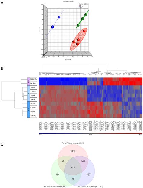 Mirna Expression Profiles Defined By Microarrays Technology A Pca