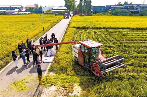 China News Headlines Stories Videos Chinadaily Cn