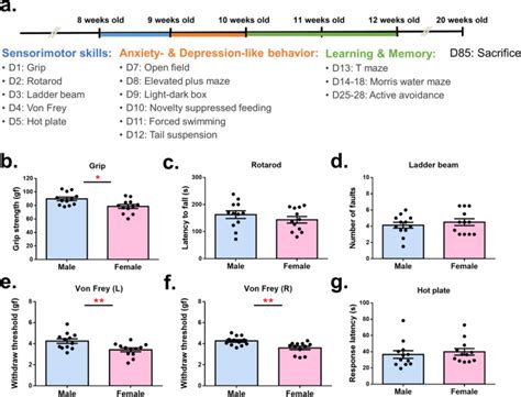 性别差异对c57bl 6小鼠行为及成年海马神经发生的影响 Scientific Reports X Mol