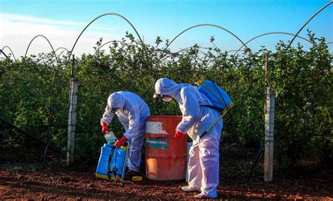 Capacita Agricultura A T Cnicos En Buen Uso De Plaguicidas