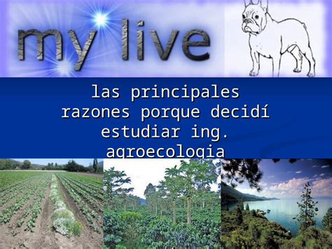 PPT La agro ecología y el medio ambiente DOKUMEN TIPS