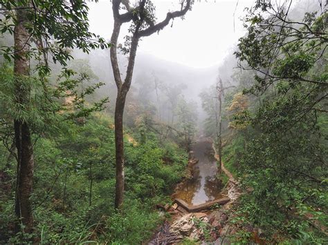 Hoàng Liên National Park - near Sapa, Vietnam - Uncover Vietnam