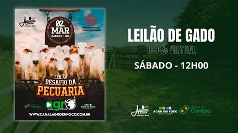 LEILÃO DESAFIO DA PECUÁRIA AGRO LANCE LEILÕES 02 03 12 00