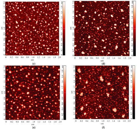 Typical Afm Images Of Objects Adsorbed Onto Mica Substrates Upon Their