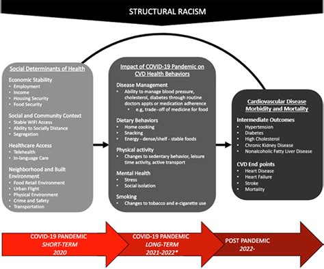 Covid Social Determinants Of Health And Opportunities For